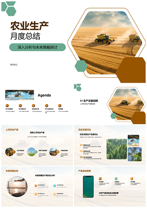 农业公司麦田生产月度总结总量问题经验策略PPT模板
