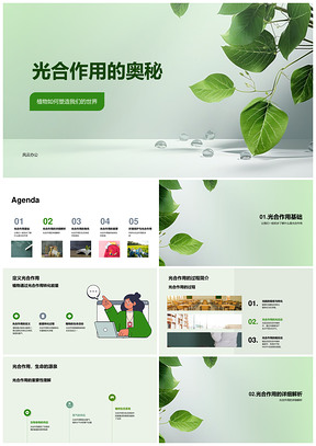 植物光合作用转化太阳能供生态系统PPT模板