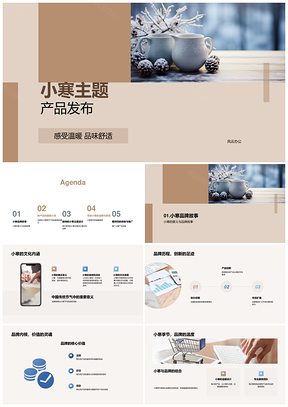 小寒品牌温暖新品上市推介PPT模板