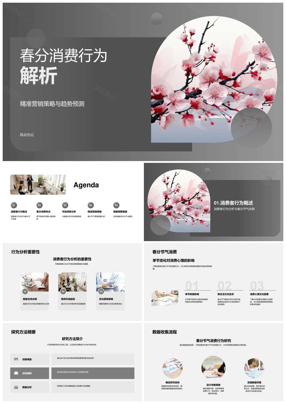 春分消费行为趋势预测与精准营销研究PPT模板