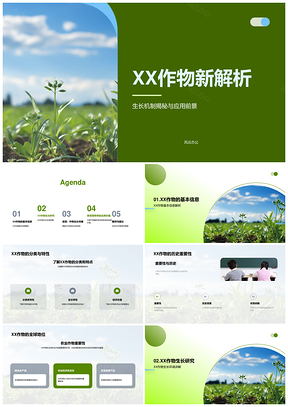 XX作物生长机制环境因素应用前景解析PPT模板
