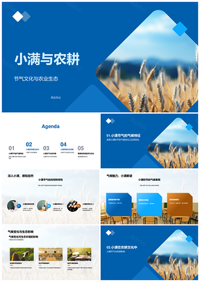 小满农耕节气文化与气候生态粮产PPT模板