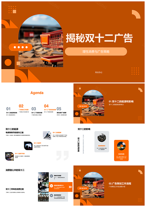双十二广告策略创意定位与理性消费解析PPT模板