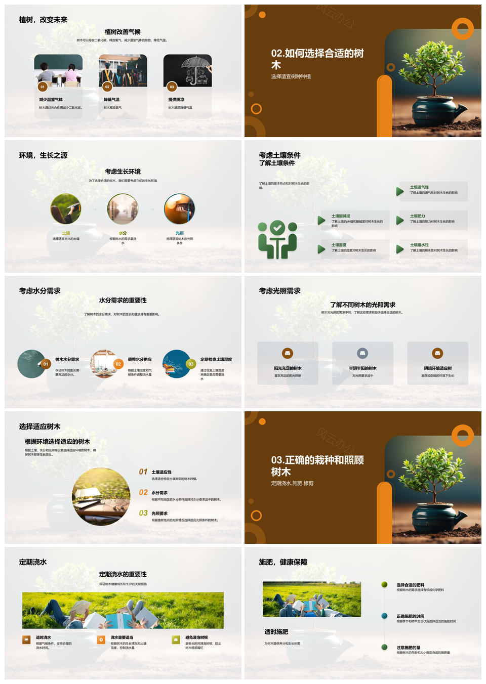植树护土建生态家园生物多样气候改善PPT模板