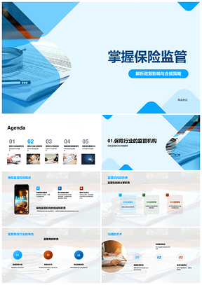 保险监管政策合规策略与风险控制PPT模板