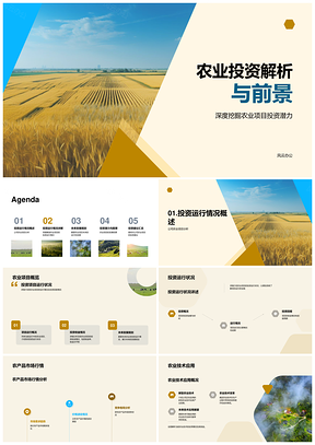 农业投资技术市场收益风险与前景分析PPT模板