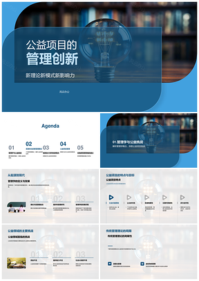 公益项目管理创新理论模式优化资源效率影响力PPT模板