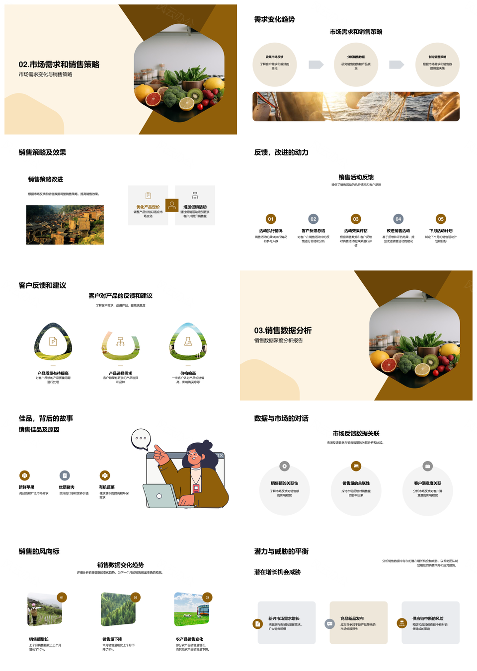 农产品销售策略数据渠道绩效与市场分析PPT模板