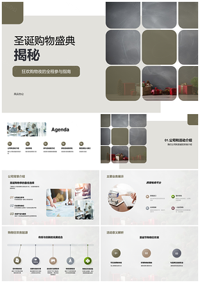 圣诞购物盛典狂欢夜公司业务产品优惠体验揭秘PPT模板