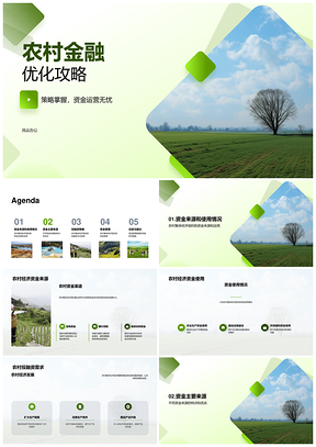 农村金融策略与集体资金管理优化PPT模板