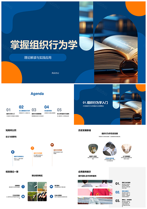 组织行为学理论实践研究策略行为管理PPT模板