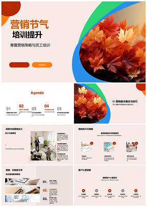 寒露秋叶营销培训案例分享PPT模板