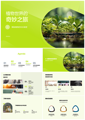 植物世界生长秘密与光合繁殖探秘PPT模板