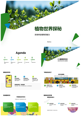绿色植物光合维系生态多样植树护环境PPT模板