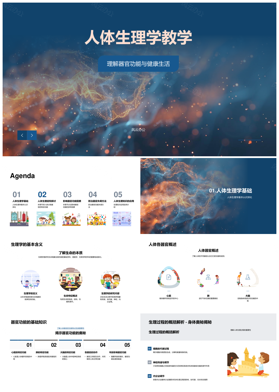 人体生理学器官功能与健康生活教学PPT模板