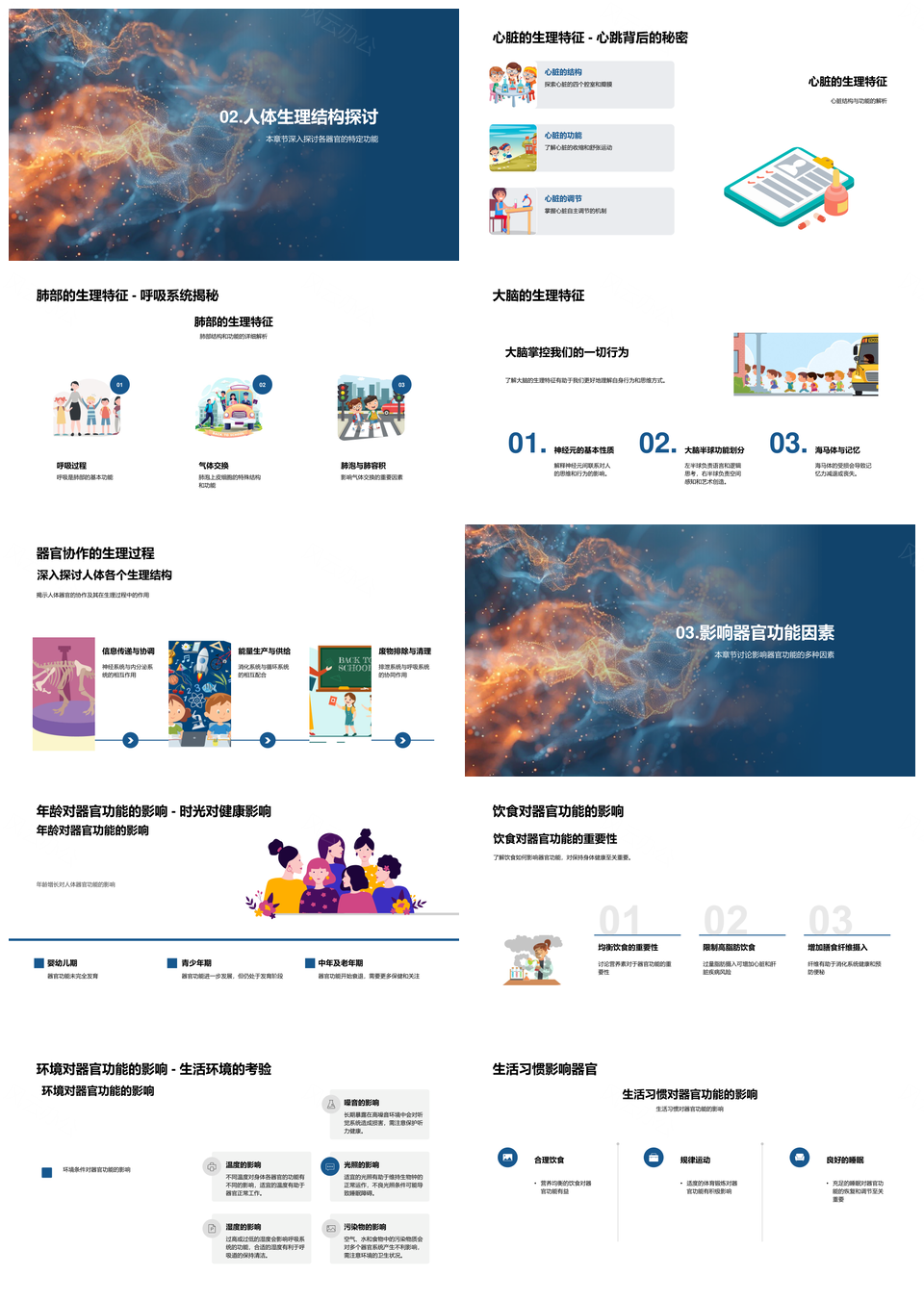 人体生理学器官功能与健康生活教学PPT模板