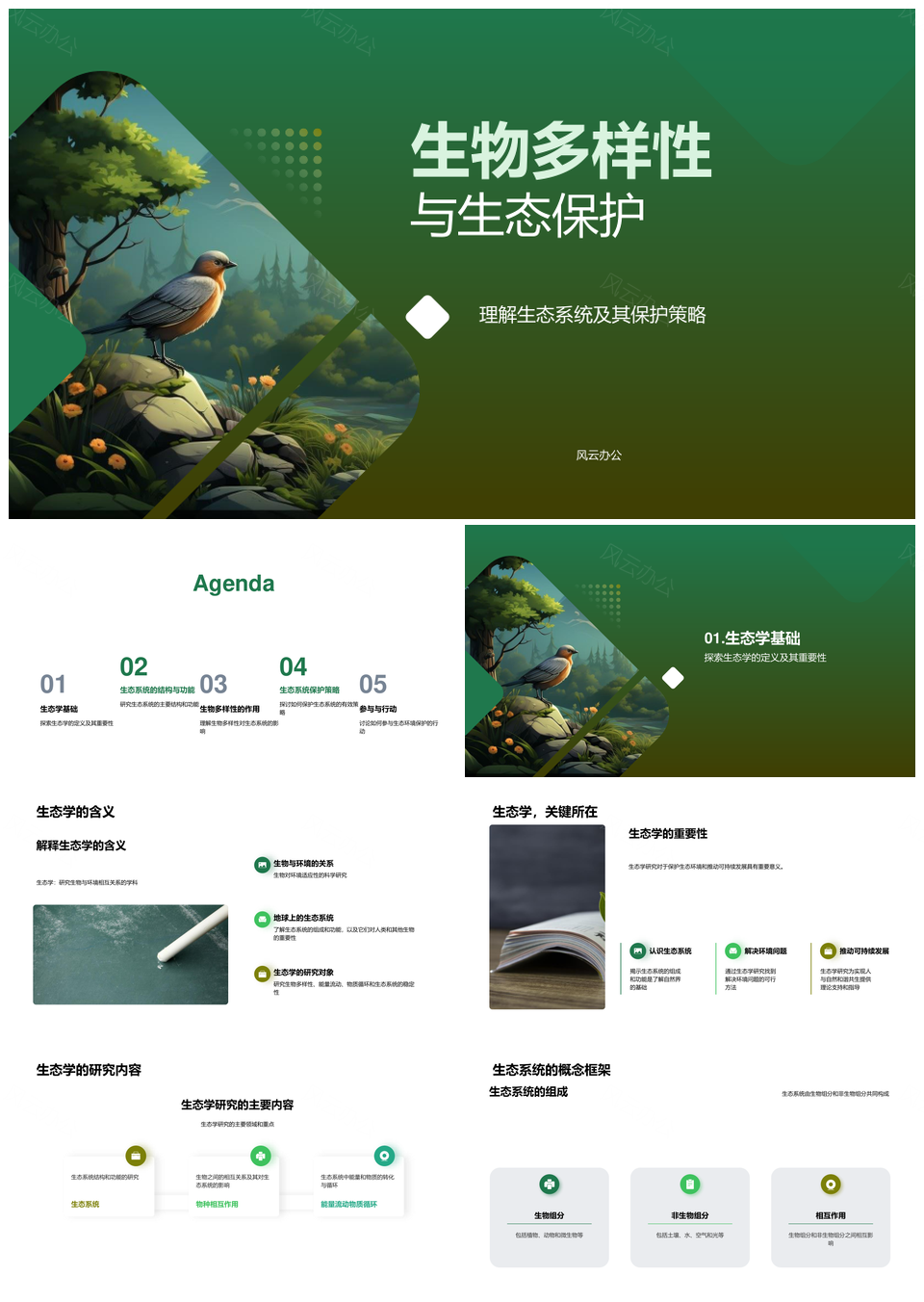 森林生态系统生物多样性保护策略PPT模板