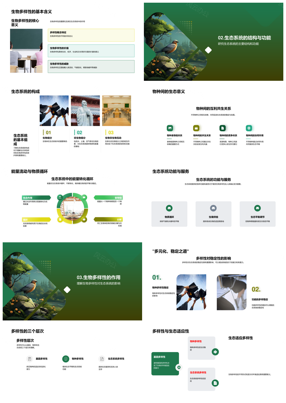 森林生态系统生物多样性保护策略PPT模板