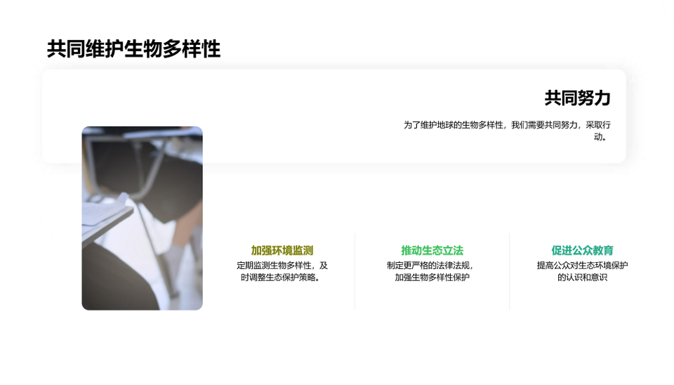 森林生态系统生物多样性保护策略PPT模板