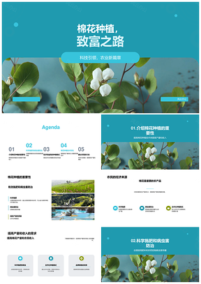 棉花种植技术推广助农增收增产提质PPT模板