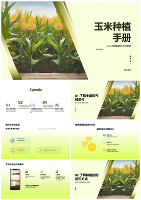 玉米新农种植技术肥沃土壤排水透气阳光水分PPT模板