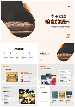麦田循环制粉面包环保教育粮食安全PPT模板