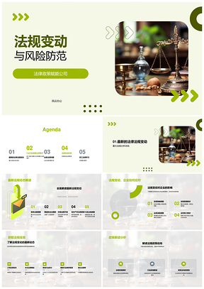 企业法律风险防范与法规应对策略PPT模板