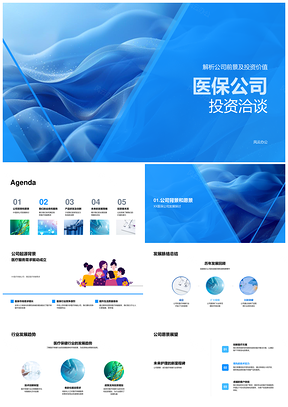 医保公司投资洽谈医疗保健业务产品前景价值PPT模板