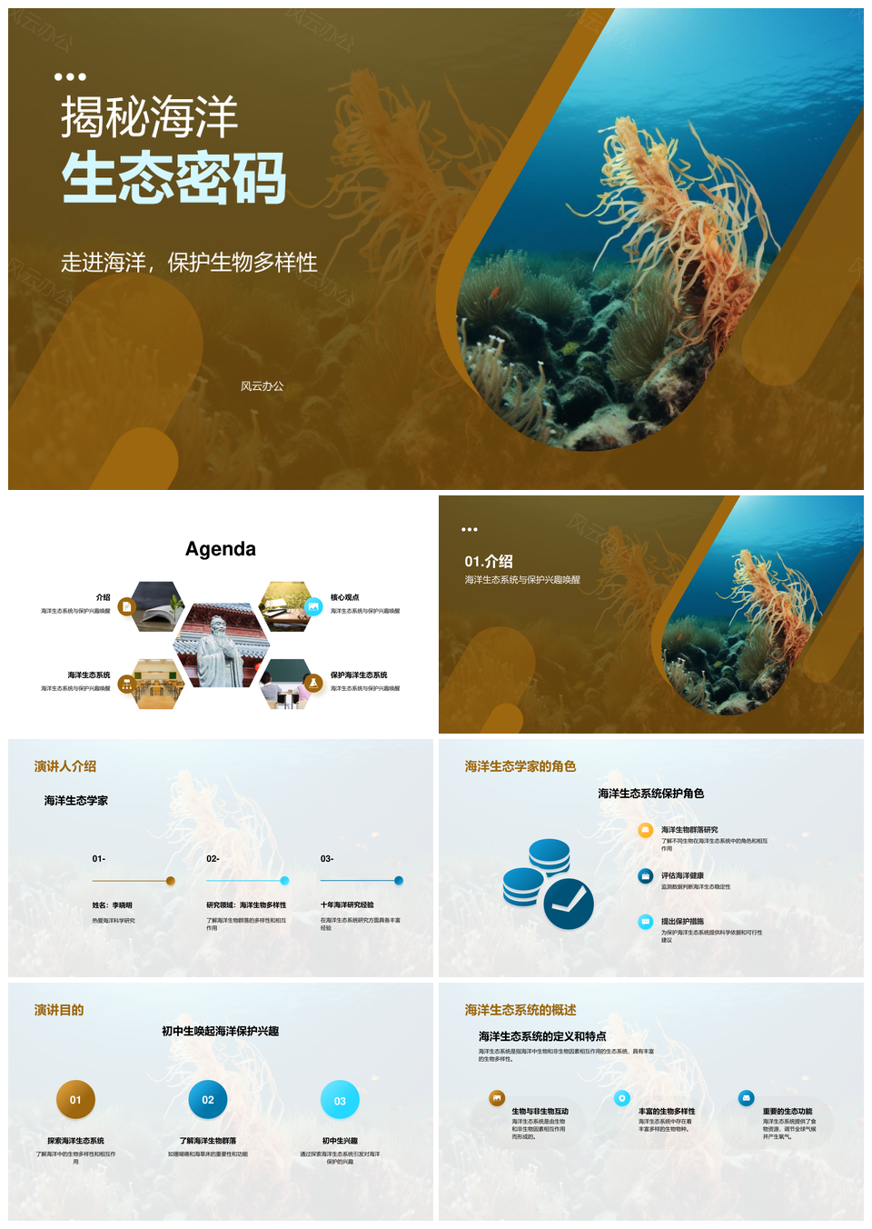 海洋生态系统珊瑚礁海草床生物多样性探秘PPT模板