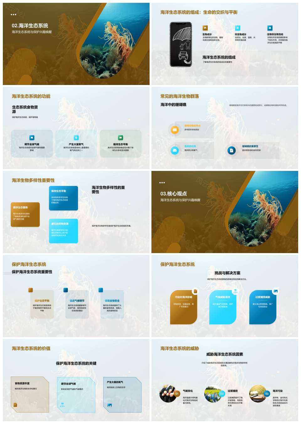 海洋生态系统珊瑚礁海草床生物多样性探秘PPT模板