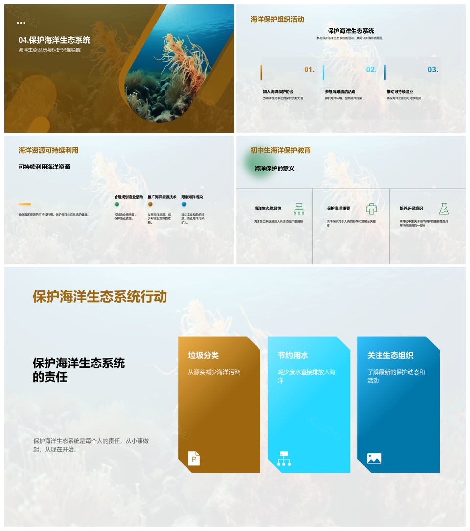 海洋生态系统珊瑚礁海草床生物多样性探秘PPT模板