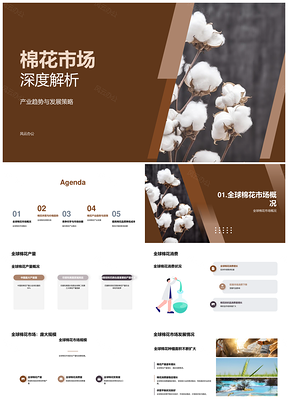 全球棉花产消供需价格趋势分析PPT模板