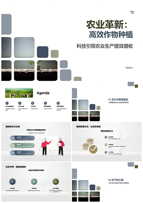 农业高效种植技术优化植物生长促农收PPT模板