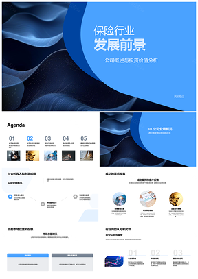 保险业发展前景投资价值收入利润市场份额增长策略新市场开拓PPT模板