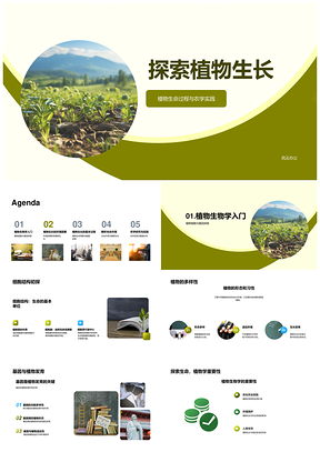 植物生长农学环境因素生理机制细胞结构PPT模板