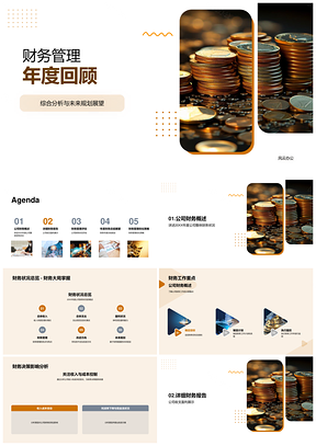 2025财务年度回顾分析收支盈利未来展望PPT模板