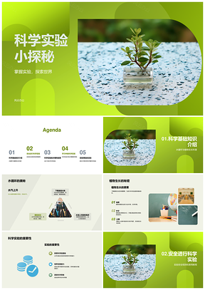 科学实验安全植物水循环显微镜观察验证PPT模板
