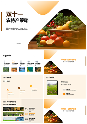 双十一农特产营销策略提升销量知名度PPT模板