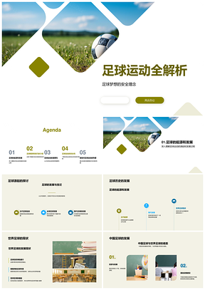 足球源起现状规则技巧安全全解析PPT模板