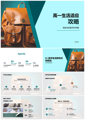 高一适应学业压力人际心态调整高效学习策略PPT模板