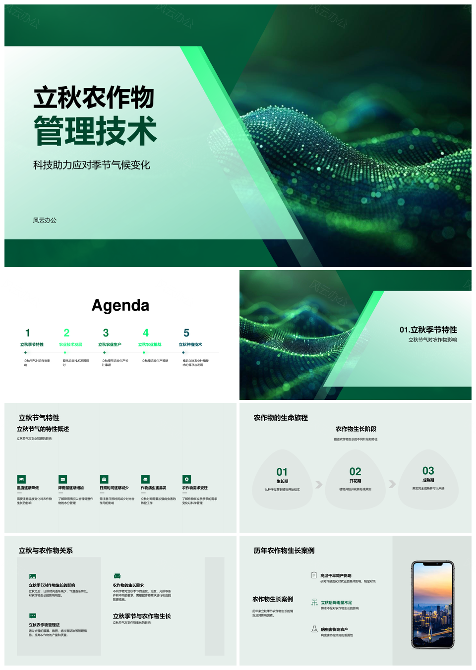 立秋农作物生长科技环境水温和病虫害防控PPT模板