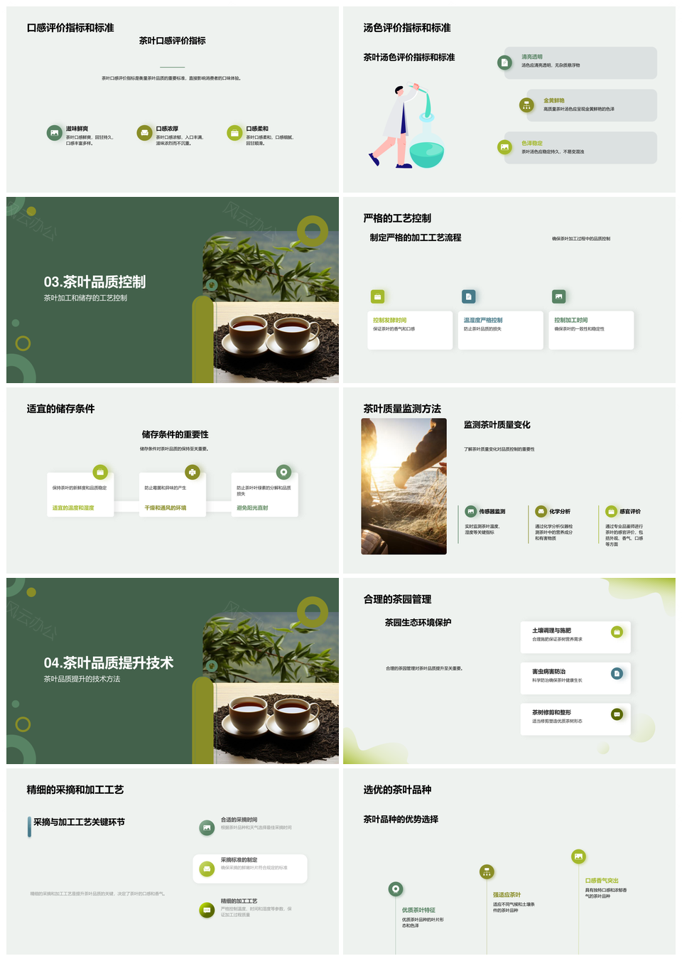 茶叶品质工艺控制提升多维度评价PPT模板