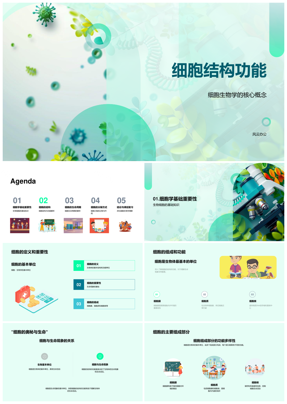 细胞结构功能有丝无丝分裂周期膜核线粒体PPT模板