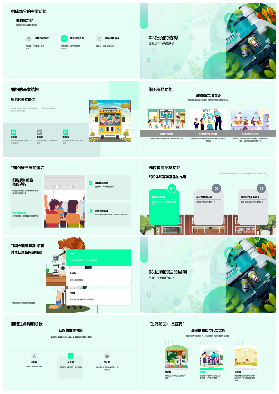 细胞结构功能有丝无丝分裂周期膜核线粒体PPT模板