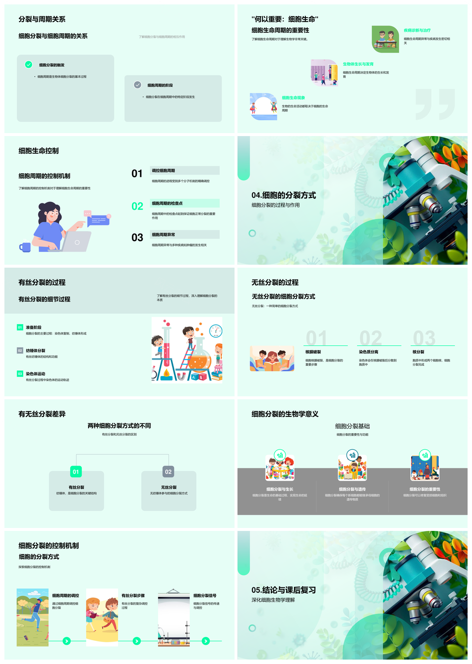 细胞结构功能有丝无丝分裂周期膜核线粒体PPT模板