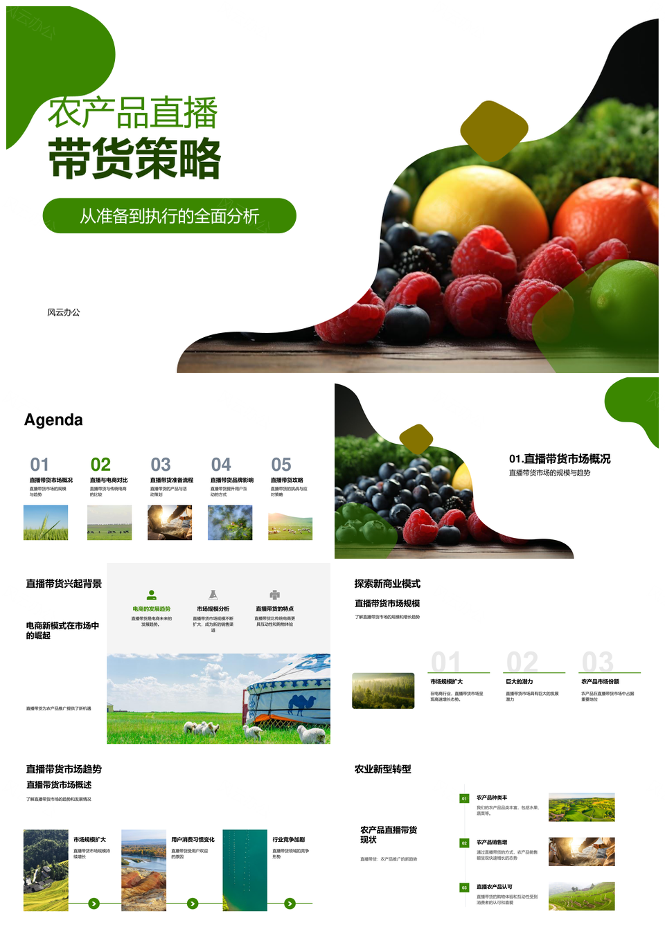 农产品直播带货电商策略助销量品牌提升PPT模板