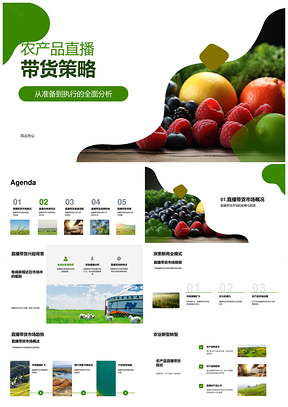 农产品直播带货电商策略助销量品牌提升PPT模板