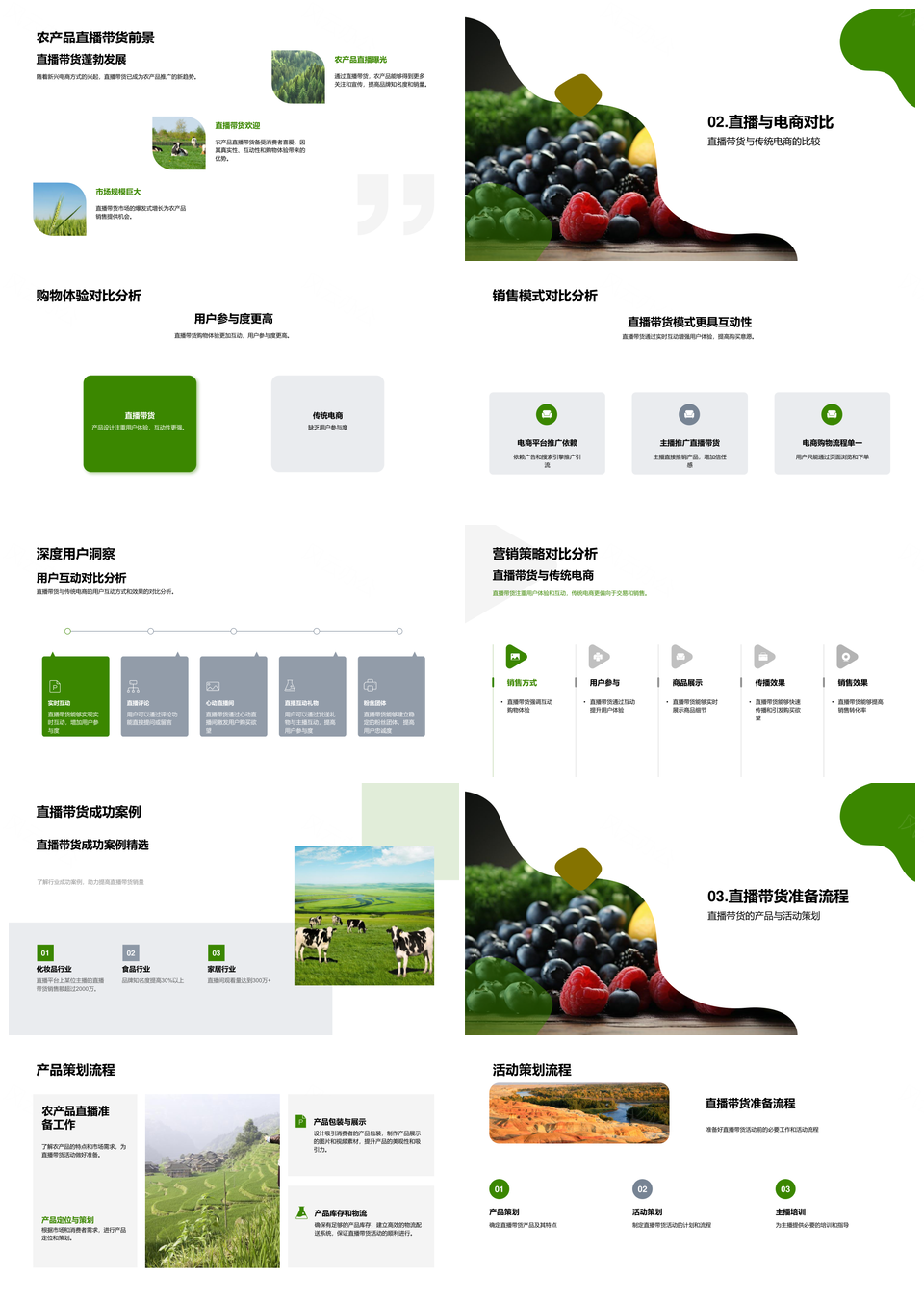 农产品直播带货电商策略助销量品牌提升PPT模板