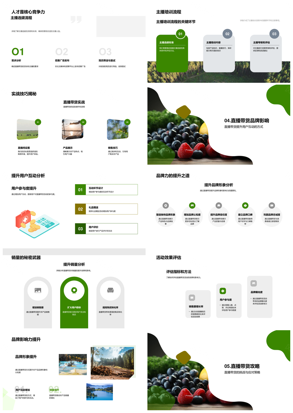 农产品直播带货电商策略助销量品牌提升PPT模板