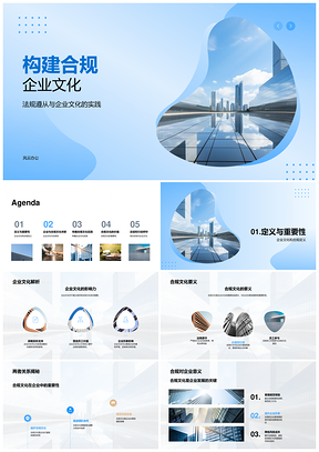 构建合规文化培训决策实践风控依法PPT模板